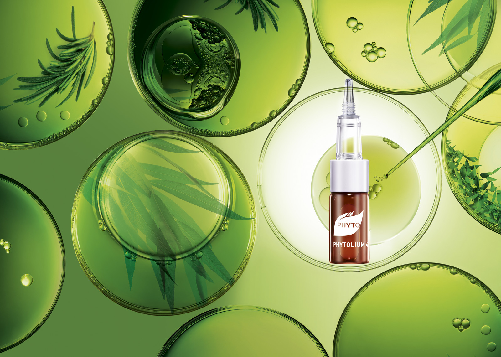 PHYTO - PHYTOLIUM